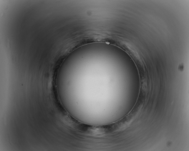 X0000103140221200808291347