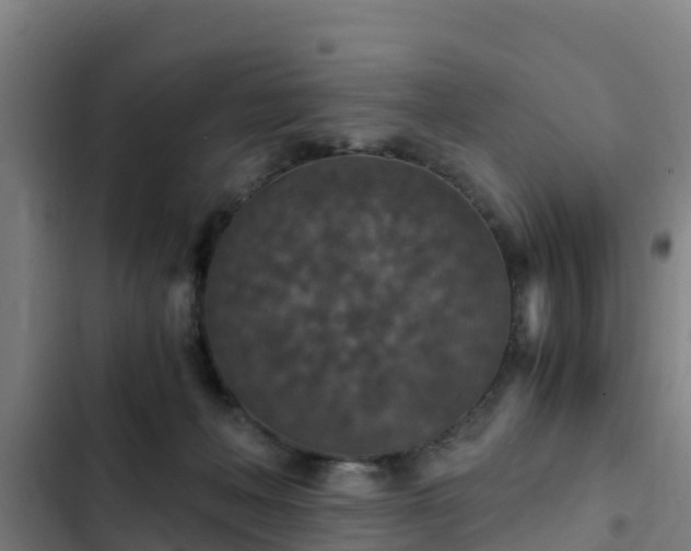 X0000103140222200808291347