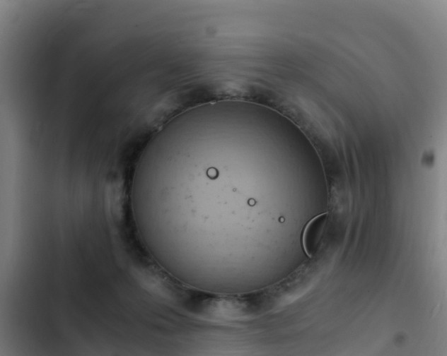 X0000103140223200808291347