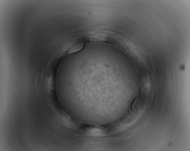 X0000103140224200808291347