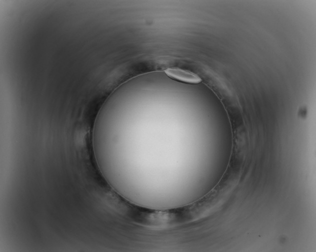 X0000103140225200808291347