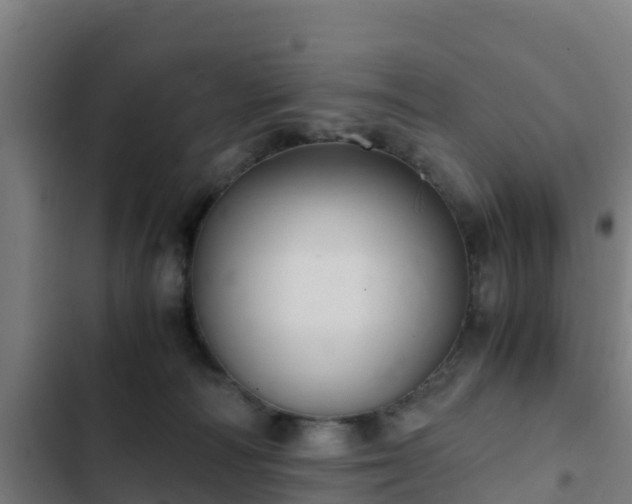 X0000103140226200808291347