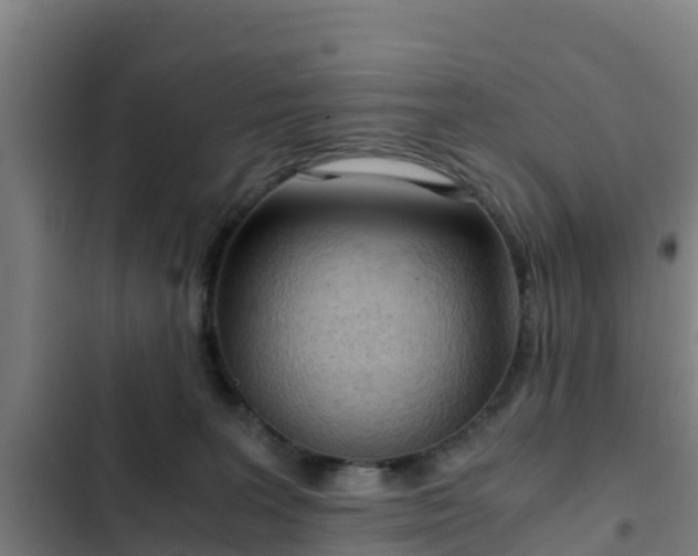 X0000103140227200808291346