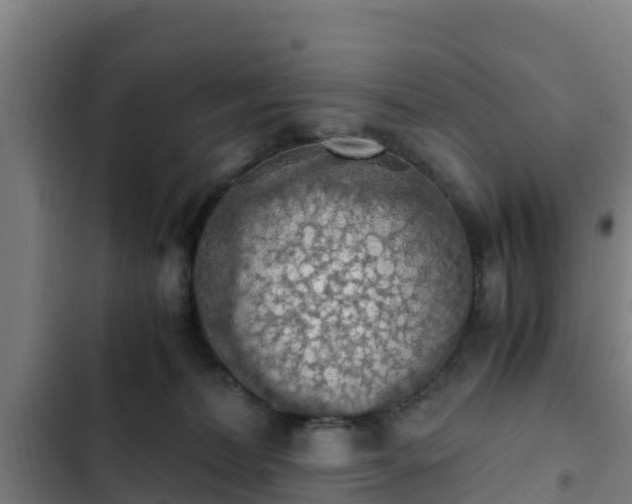 X0000103140228200808291346