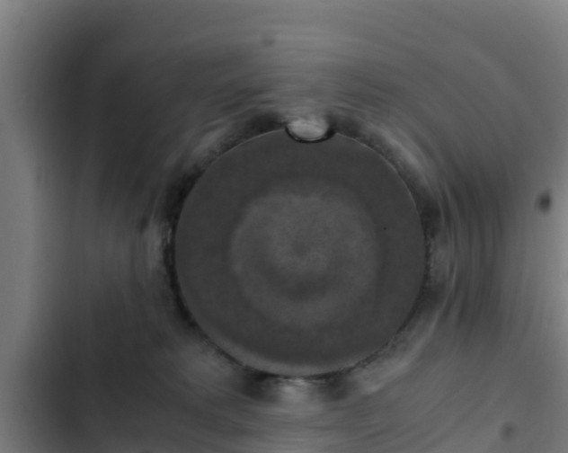 X0000103140229200808291346