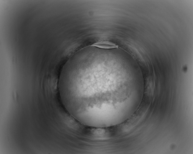 X0000103140230200808291346