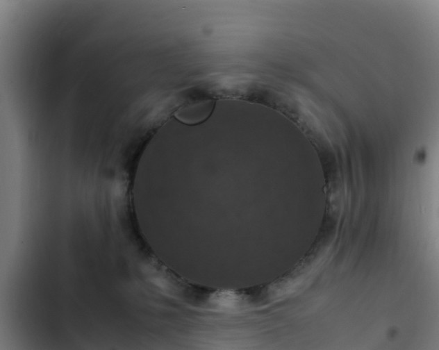 X0000103140231200808291346