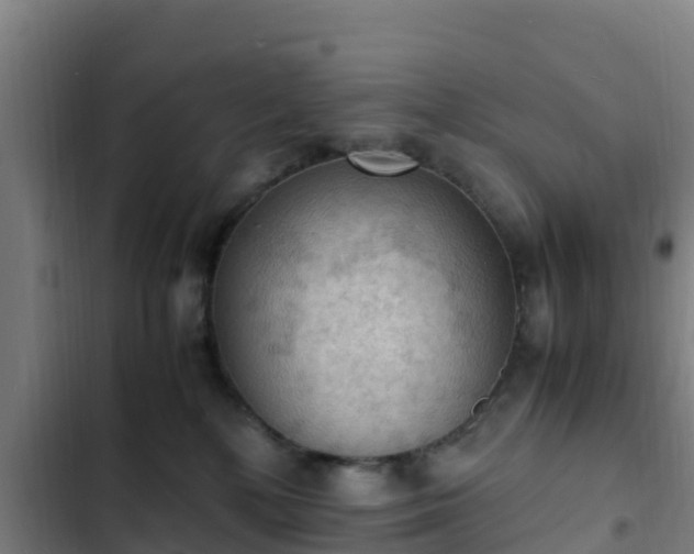 X0000103140232200808291346