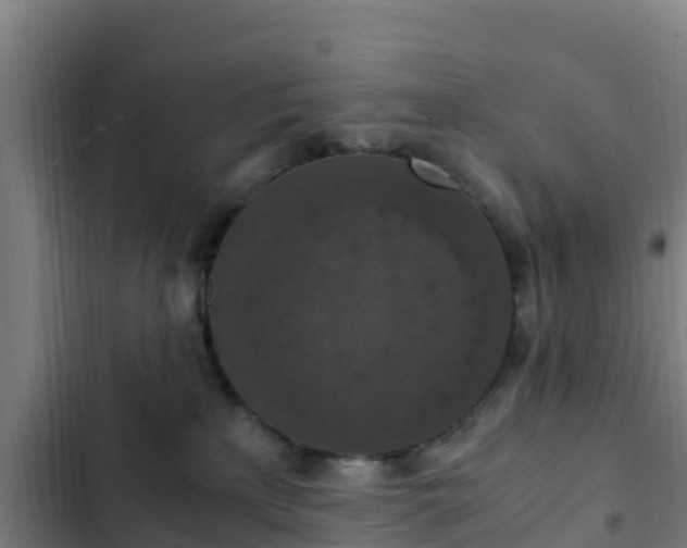 X0000103140233200808291346