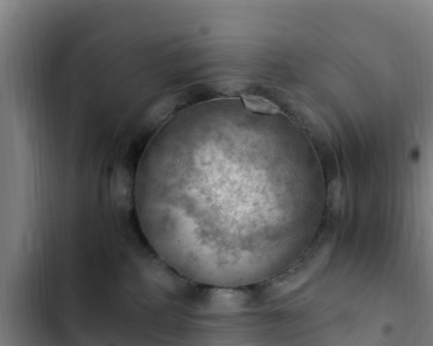 X0000103140234200808291346