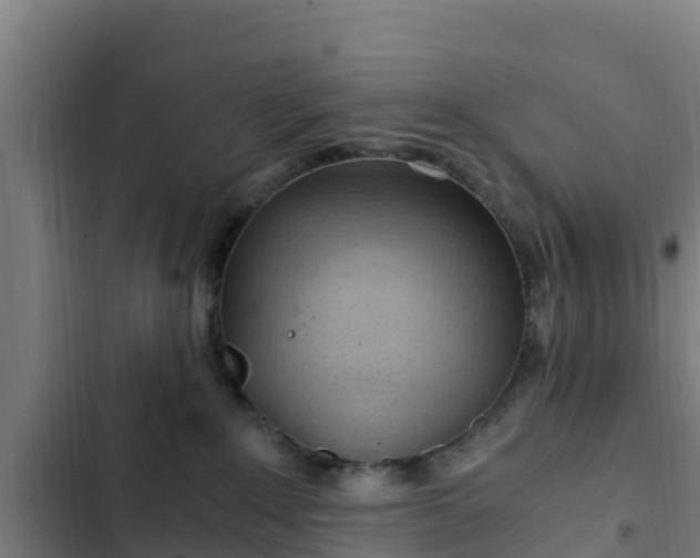 X0000103140235200808291346