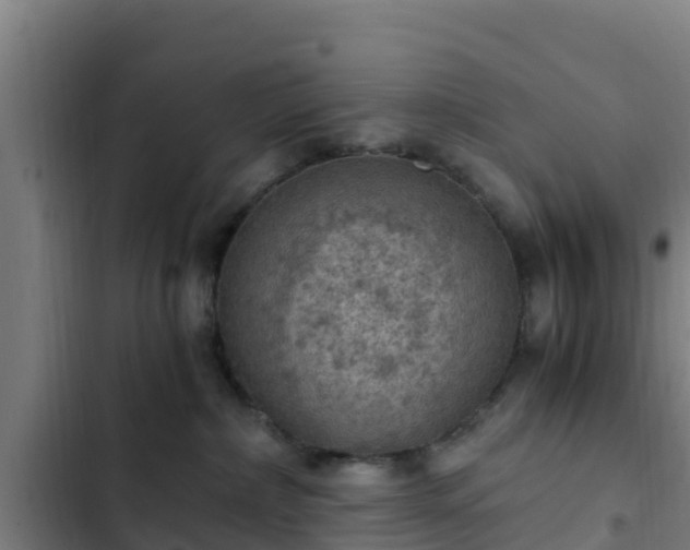 X0000103140236200808291346