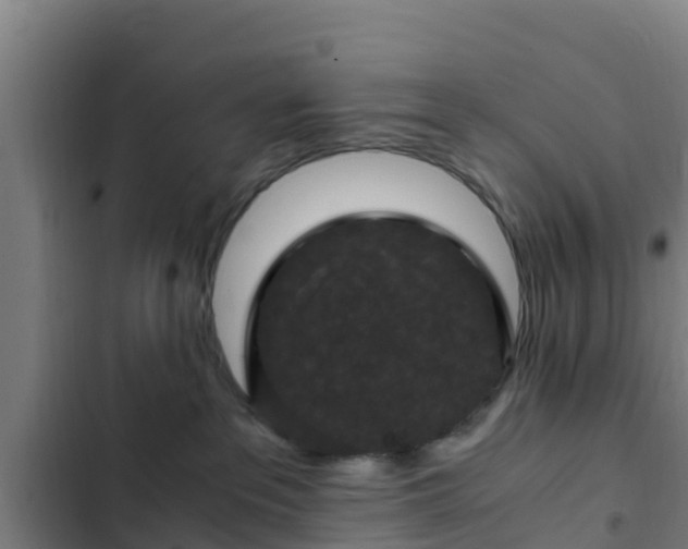 X0000103140237200808291346