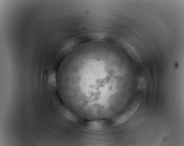 X0000103140238200808291346