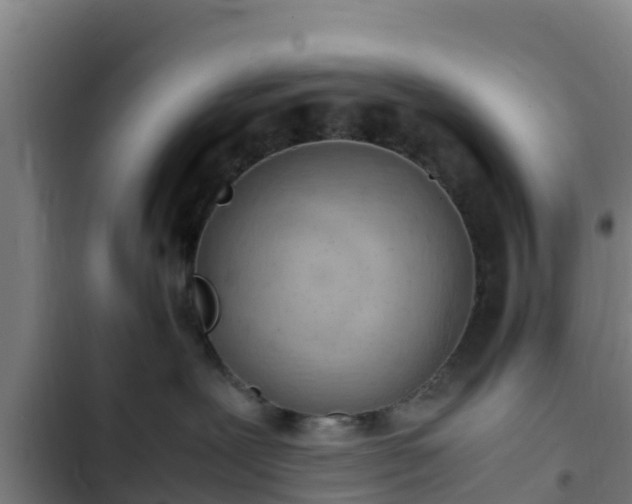 X0000103140239200808291346