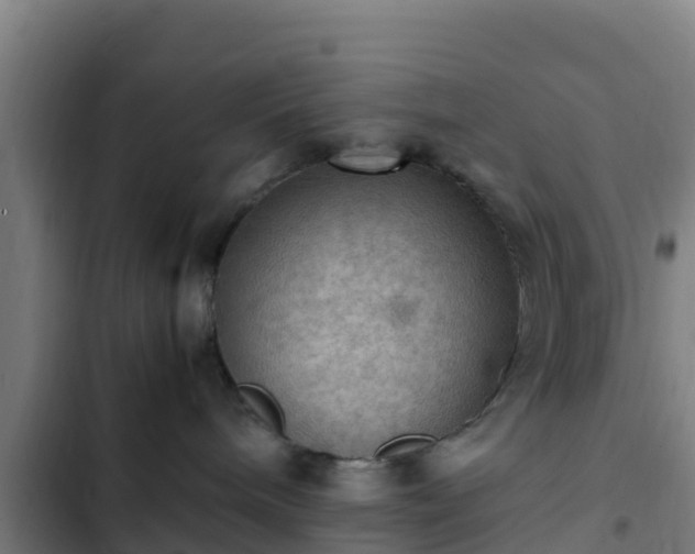 X0000103140240200808291346