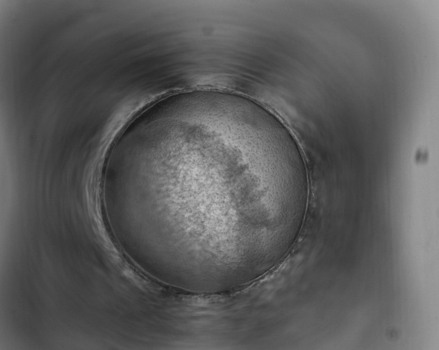 X0000103140241200808291346