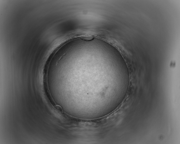 X0000103140242200808291346