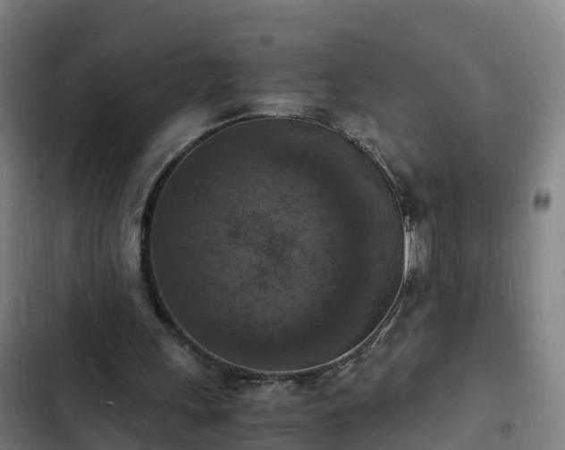 X0000103140243200808291346