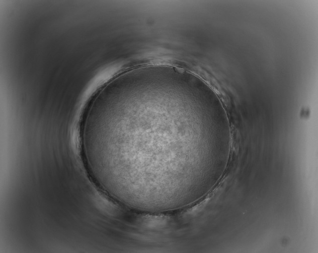 X0000103140245200808291346