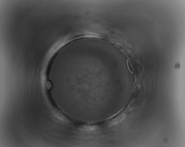 X0000103140247200808291346