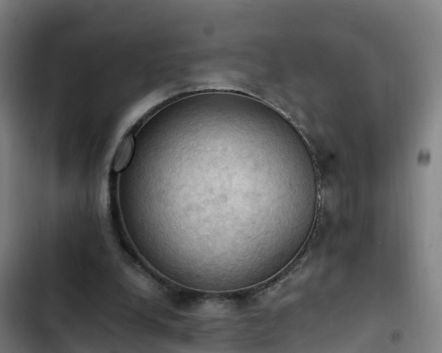 X0000103140248200808291346