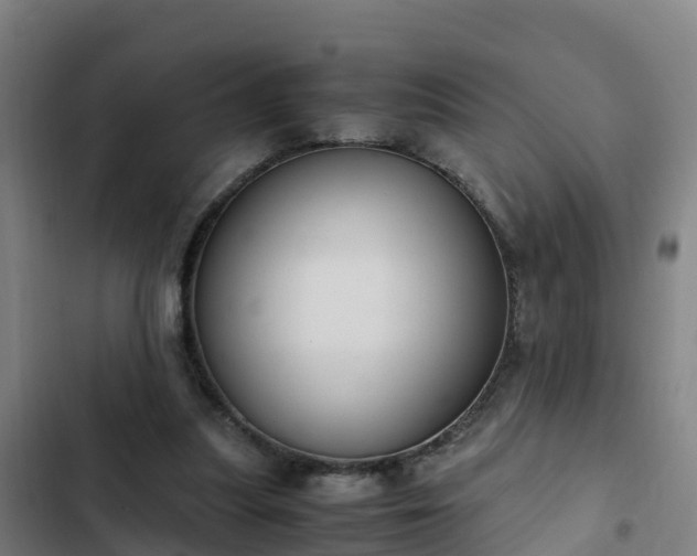 X0000103140251200808291346