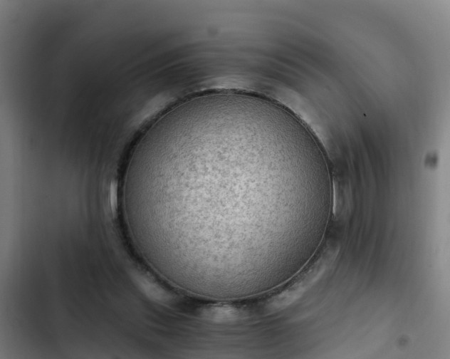 X0000103140253200808291346