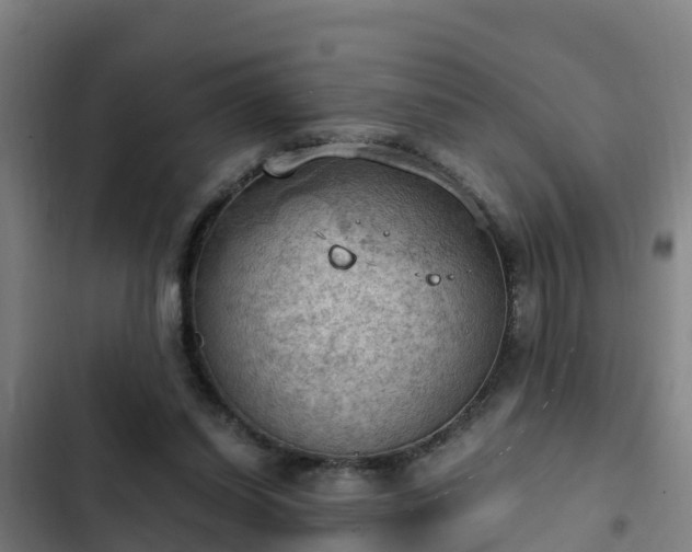 X0000103140254200808291346