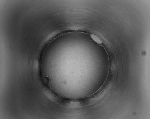 X0000103140256200808291346