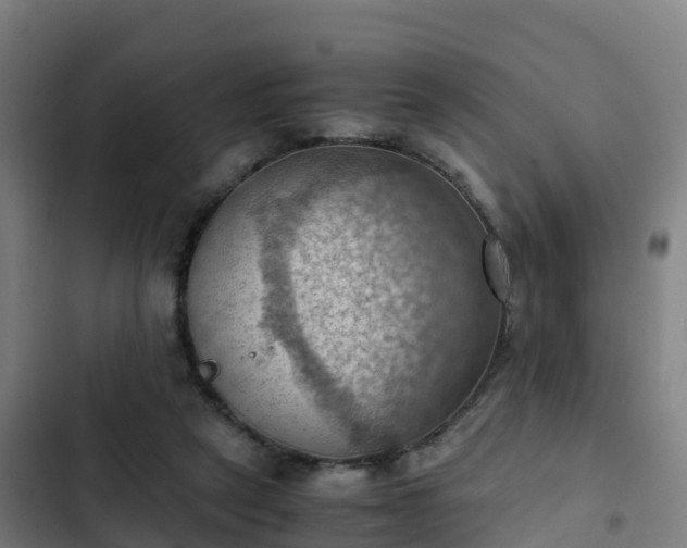 X0000103140257200808291346