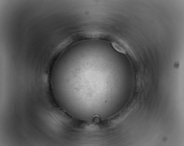 X0000103140258200808291346