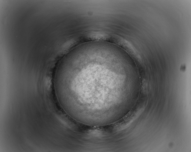 X0000103140259200808291346