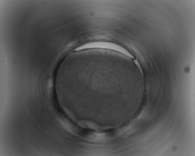 X0000103140260200808291346