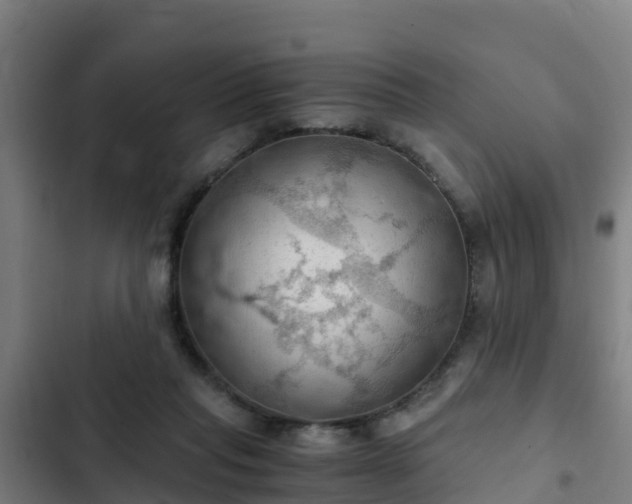 X0000103140261200808291346