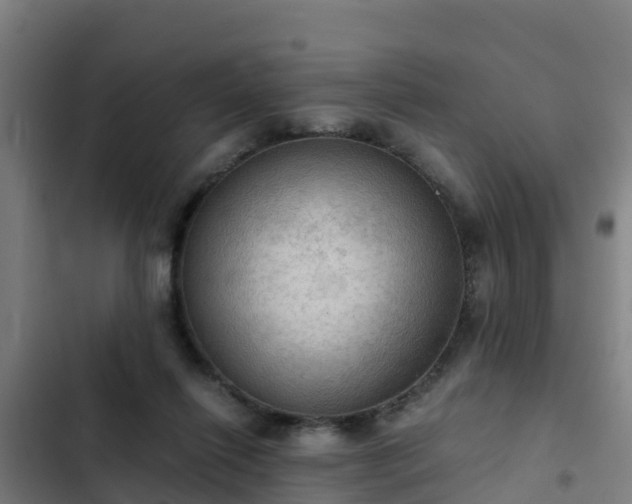 X0000103140262200808291346