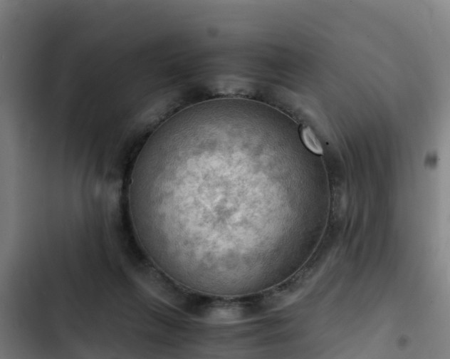 X0000103140263200808291346