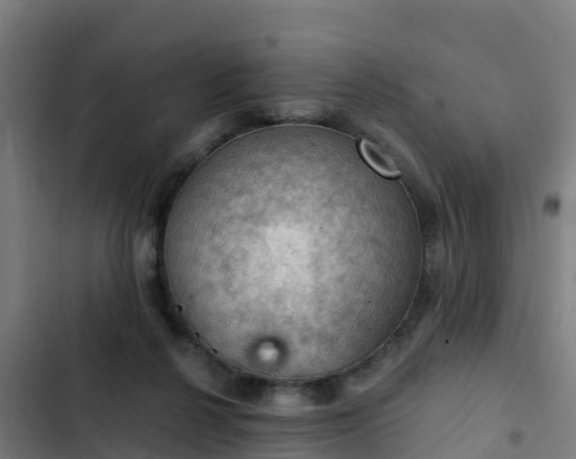 X0000103140264200808291346