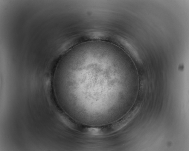 X0000103140265200808291346