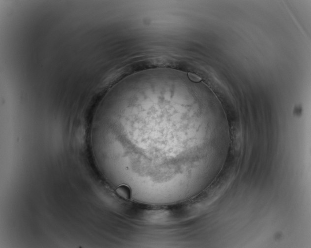 X0000103140266200808291346