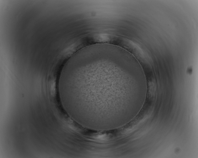 X0000103140267200808291346