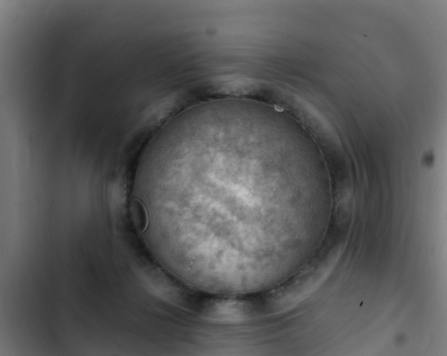 X0000103140268200808291346