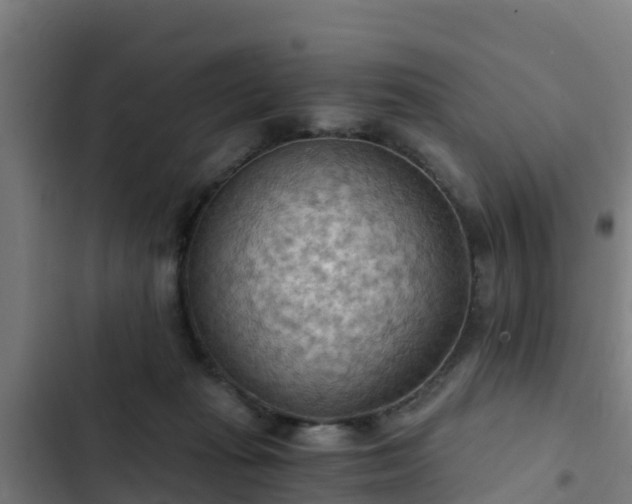 X0000103140269200808291346