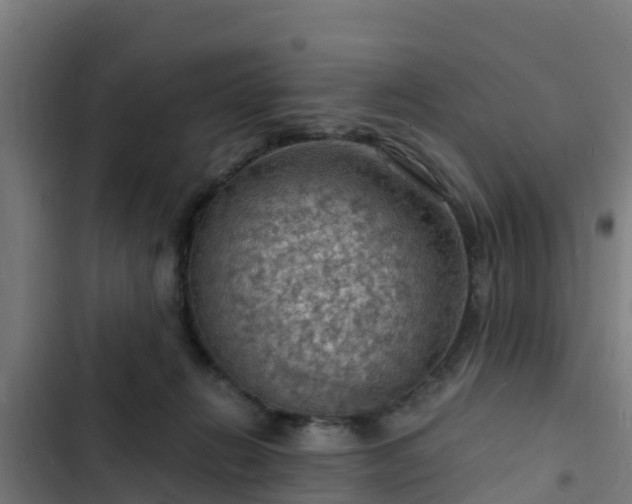 X0000103140270200808291346