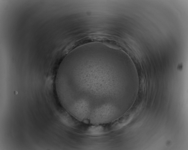 X0000103140271200808291346