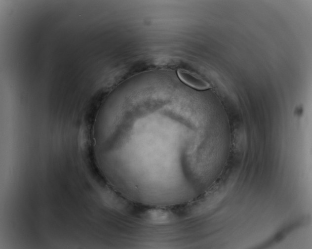 X0000103140272200808291346