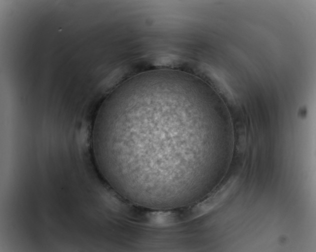 X0000103140273200808291346