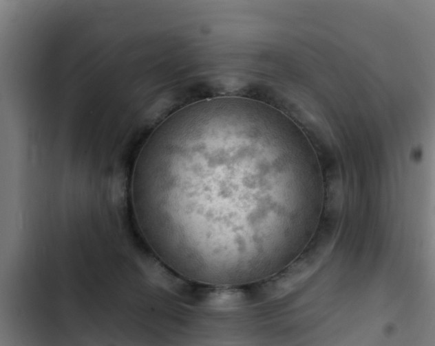 X0000103140274200808291346