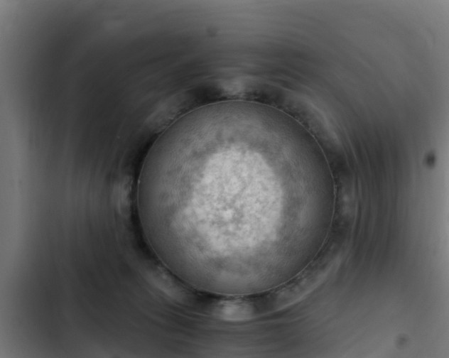 X0000103140275200808291346