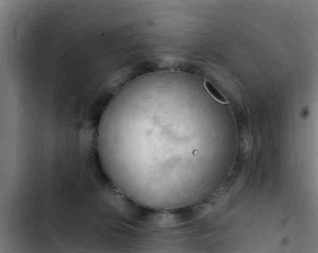 X0000103140276200808291346